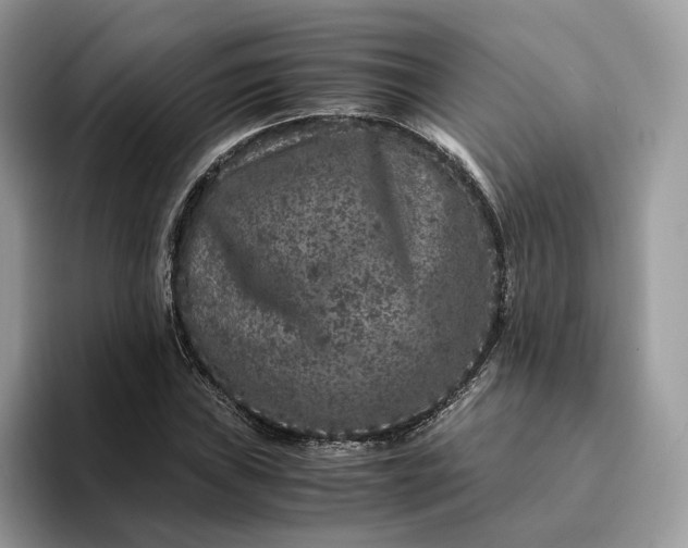 X0000094181019200711091138