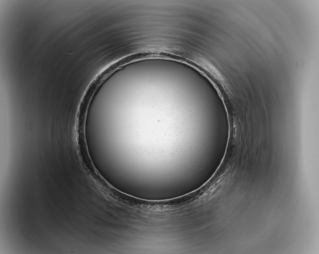 X0000094181020200711091138