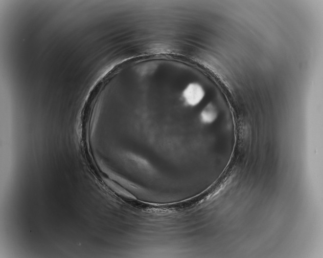 X0000094181023200711091138