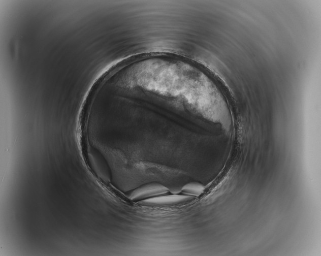 X0000094181024200711091138