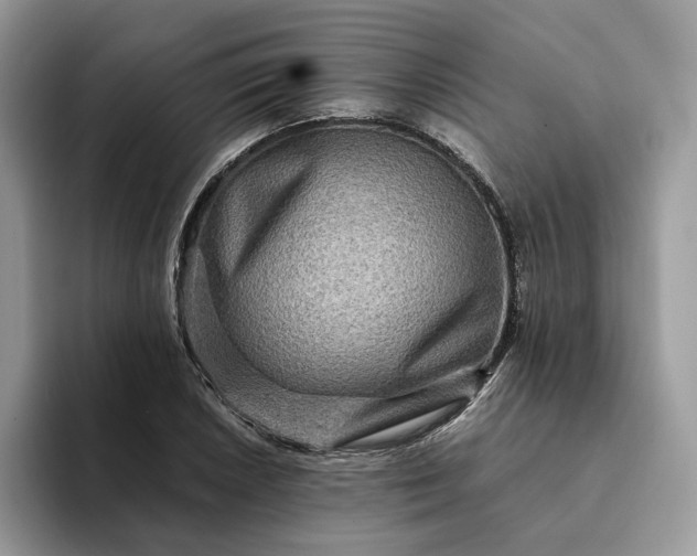 X0000094181026200711091138