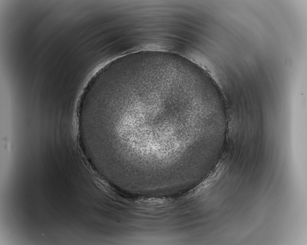 X0000094181027200711091138