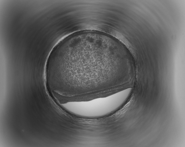 X0000094181028200711091138