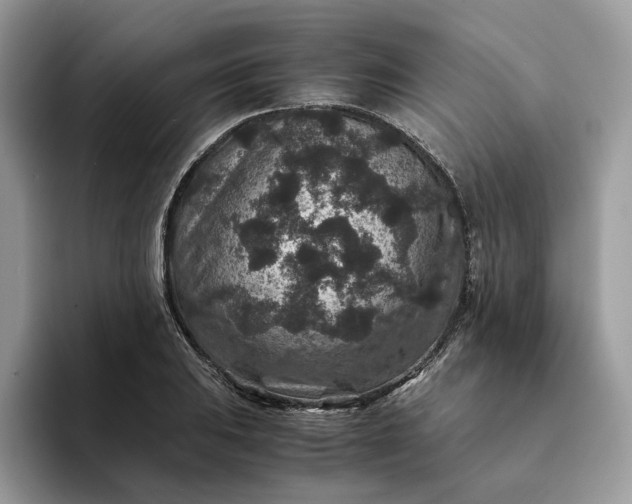 X0000094181031200711091138