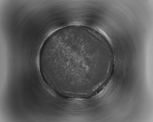 X0000094181035200711091139