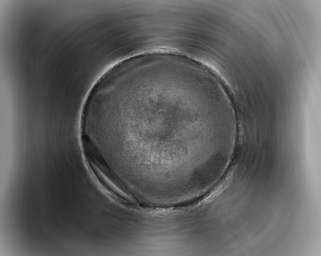 X0000094181038200711091139