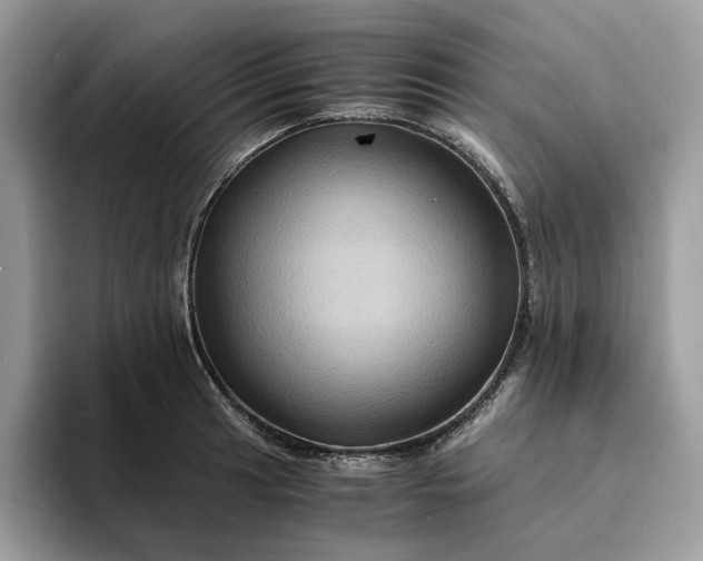 X0000094181041200711091139