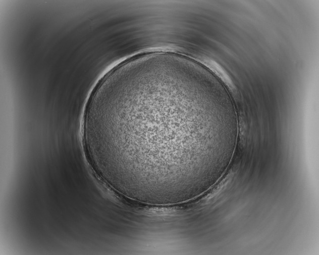 X0000094181044200711091139