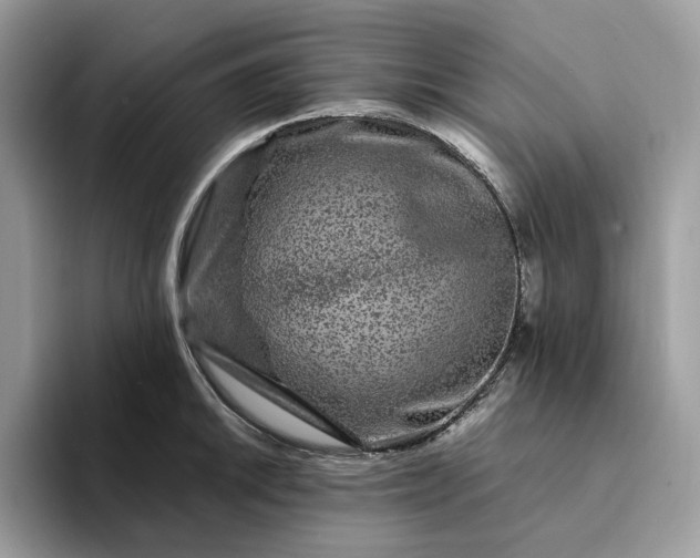 X0000094181046200711091139