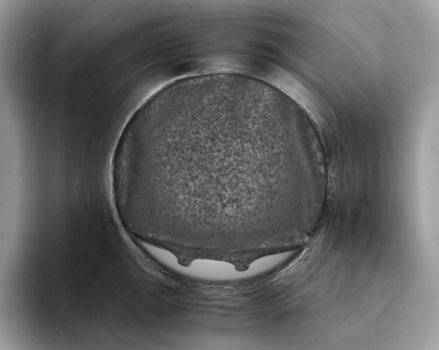 X0000094181047200711091139