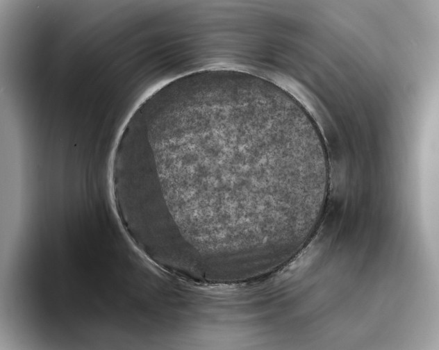 X0000094181048200711091139