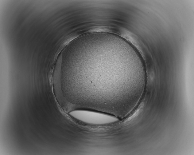 X0000094181049200711091139