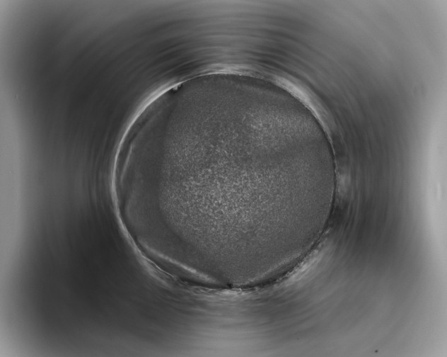 X0000094181050200711091139