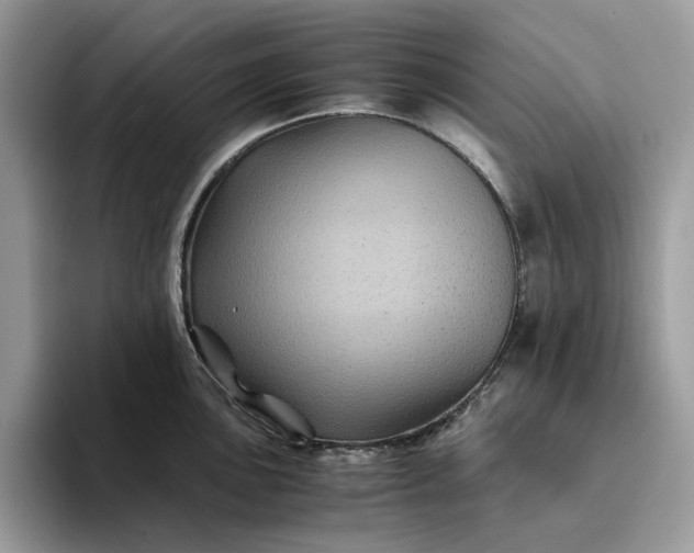 X0000094181051200711091139