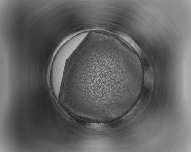 X0000094181052200711091139