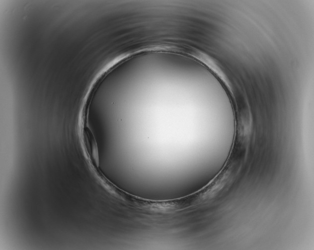 X0000094181053200711091139