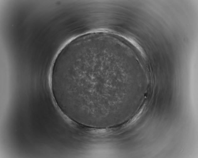X0000094181054200711091139