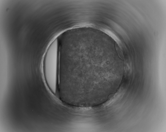 X0000094181055200711091139