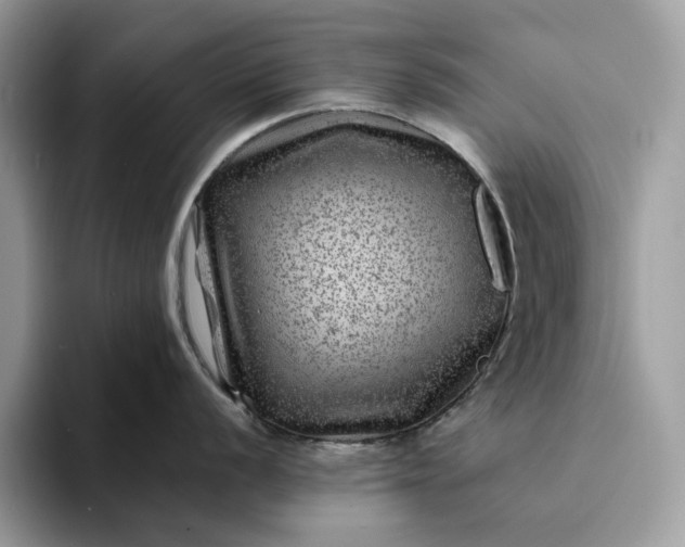 X0000094181056200711091139