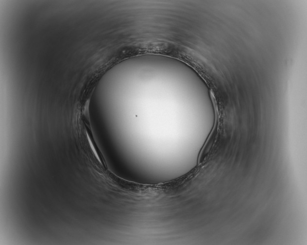 X0000094181058200711091138