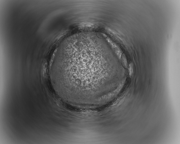 X0000094181059200711091138