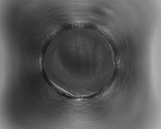 X0000094181060200711091138
