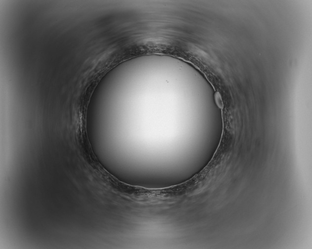 X0000094181061200711091138