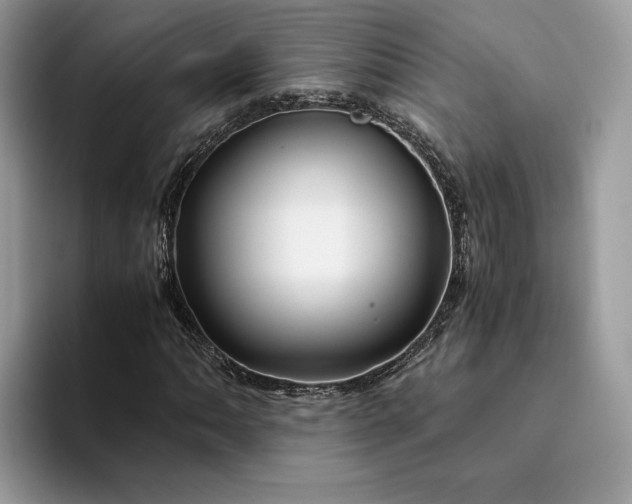 X0000094181062200711091138