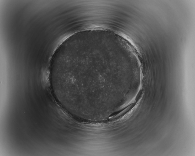 X0000094181066200711091138