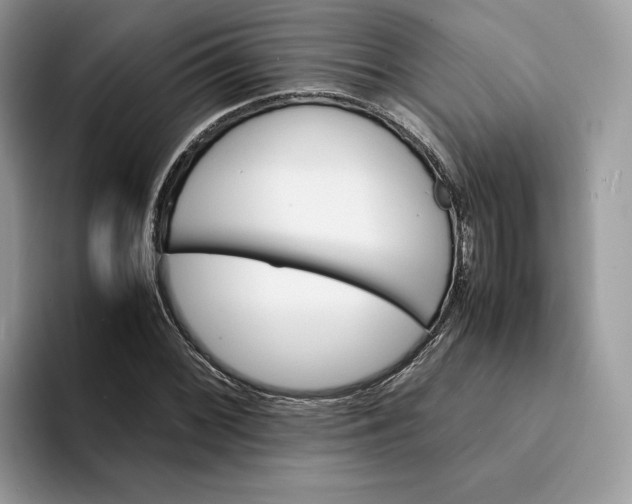 X0000094181068200711091138