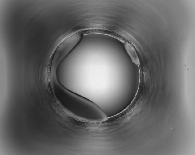 X0000094181069200711091138