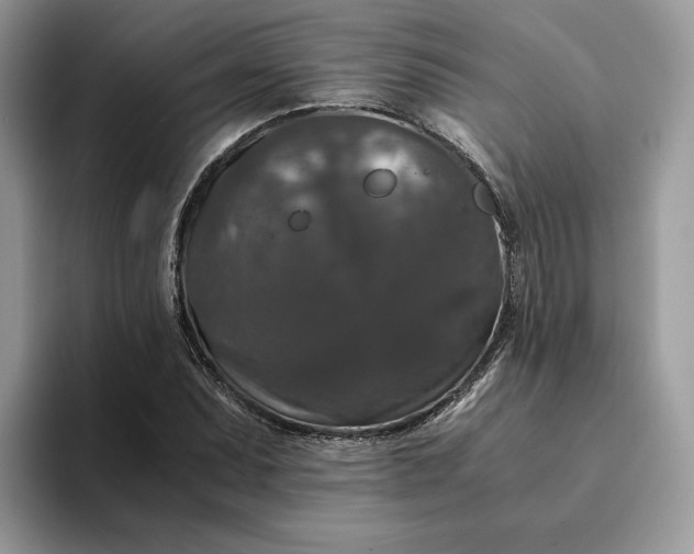 X0000094181071200711091138