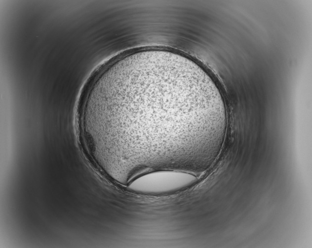 X0000094181072200711091138