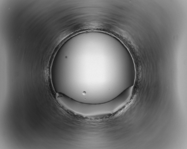 X0000094181073200711091138