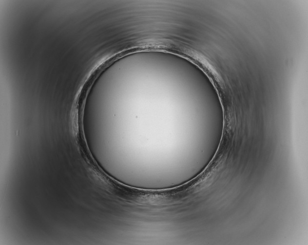X0000094181075200711091138