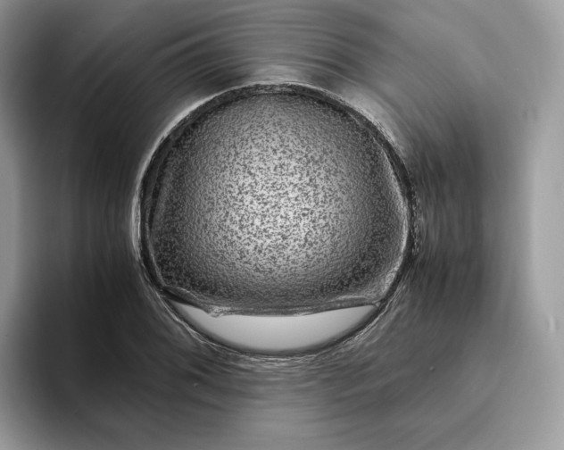 X0000094181076200711091138