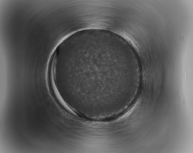 X0000094181077200711091138