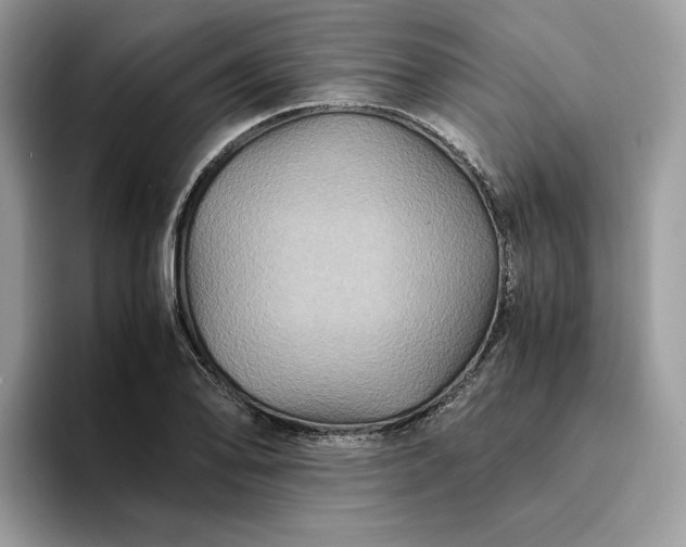 X0000094181078200711091138