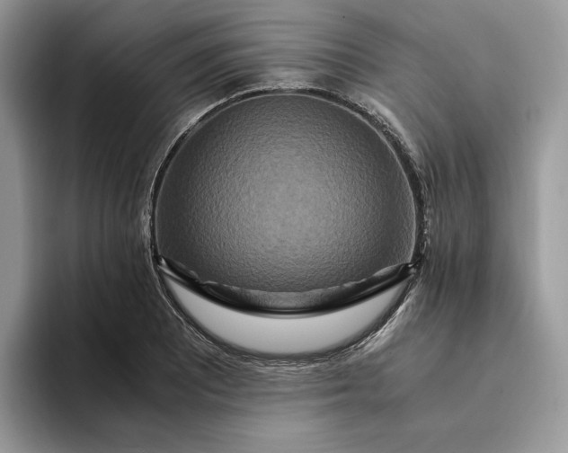 X0000094181081200711091138