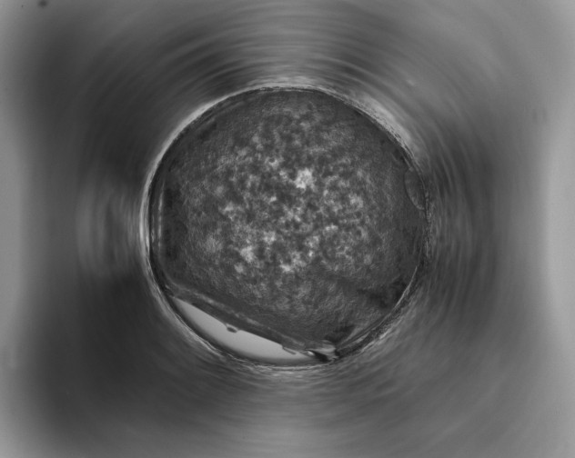 X0000094181084200711091138