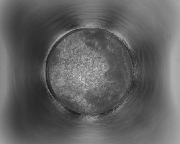 X0000094181086200711091138