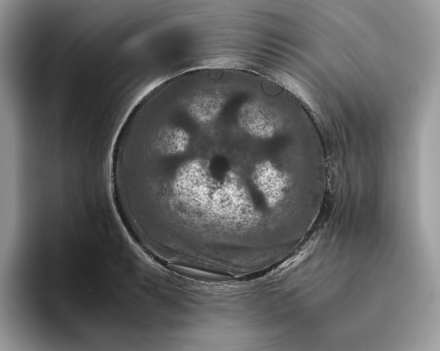 X0000094181087200711091138