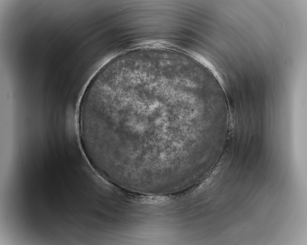 X0000094181090200711091138