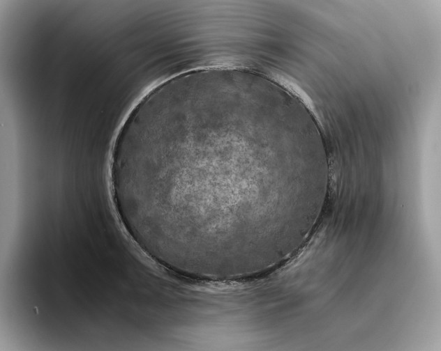 X0000094181091200711091138