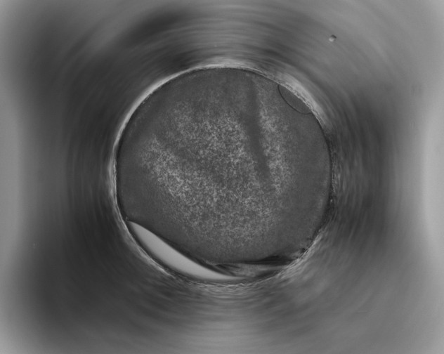X0000094181092200711091138