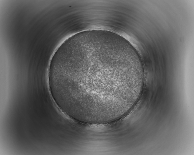X0000094181094200711091138