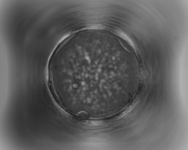 X0000094181095200711091138