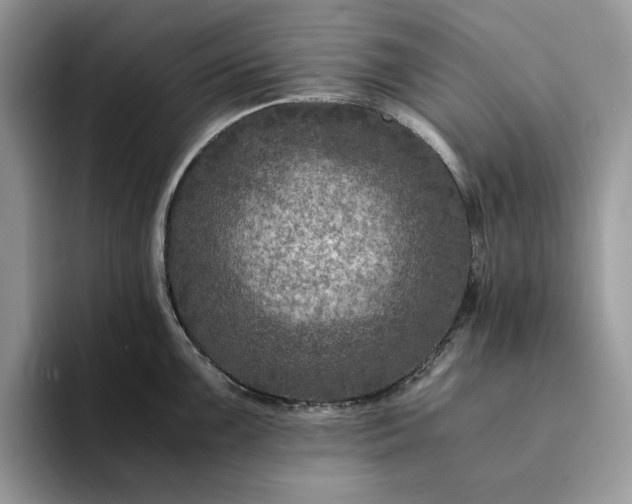 X0000094181099200711091138