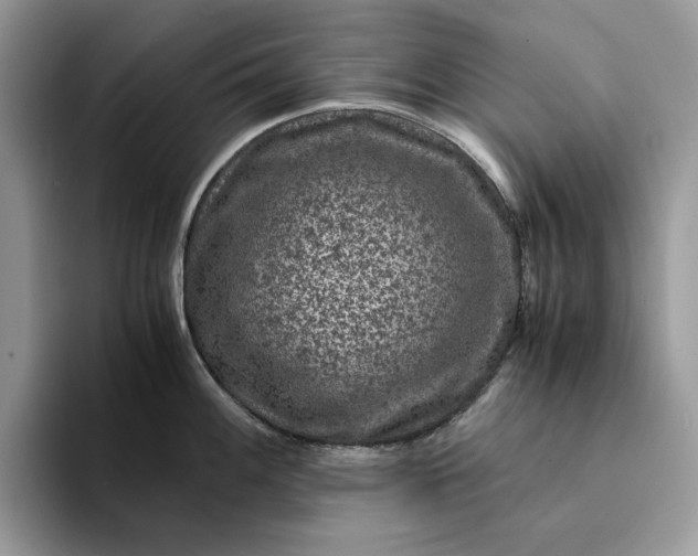 X0000094181100200711091138