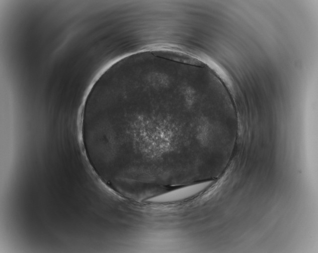 X0000094181102200711091138